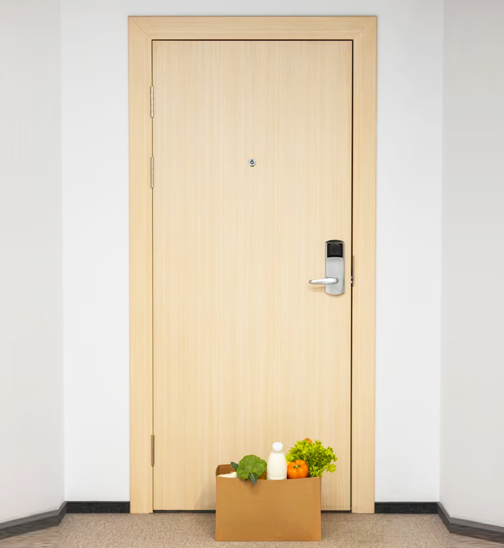 Wooden Plain Door